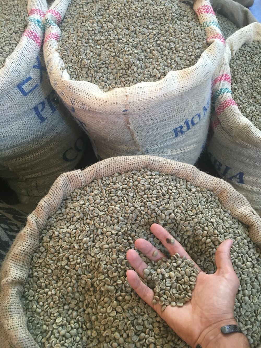 Robusta Java Fine Grade 1